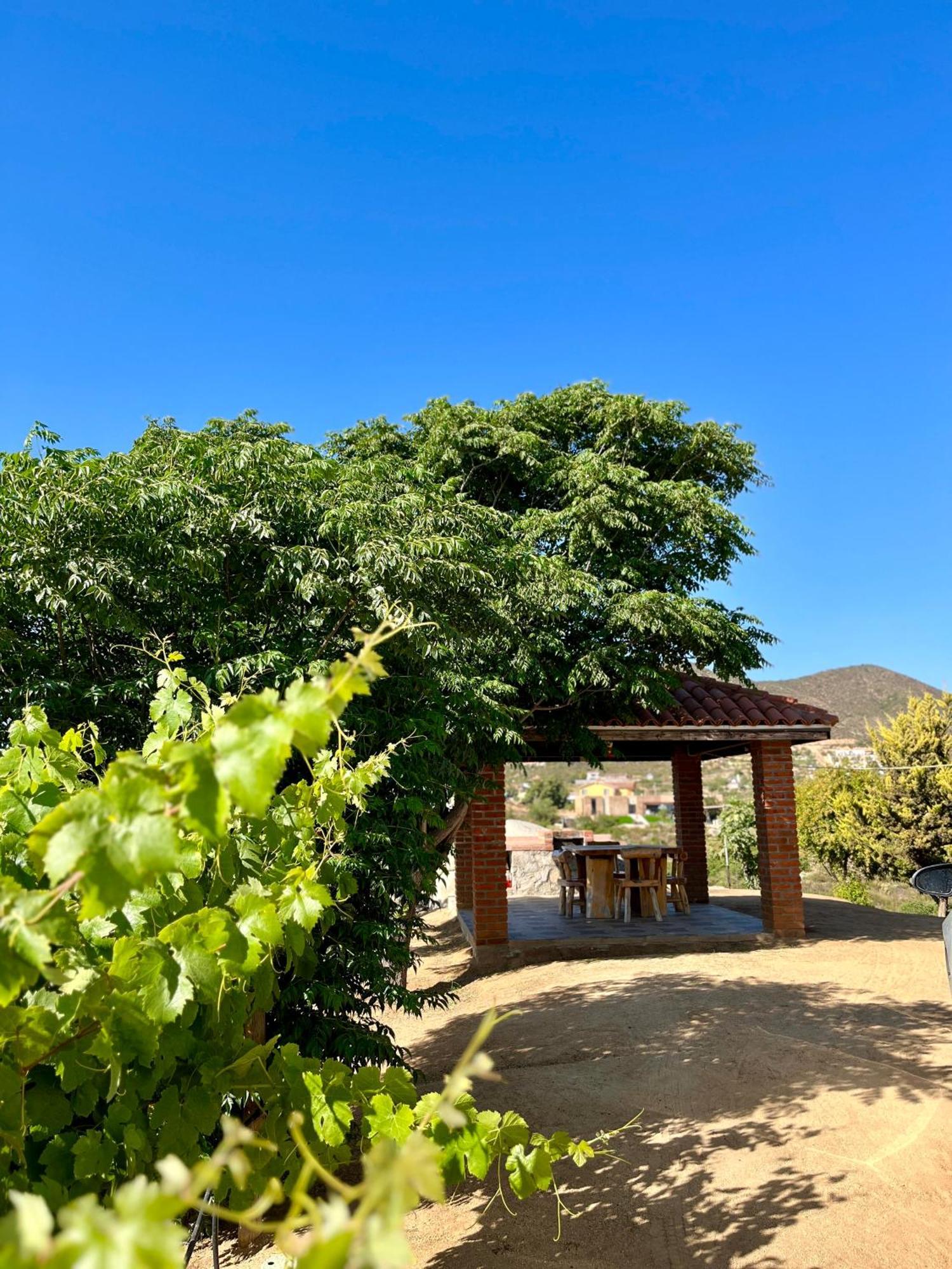 Cabanas Colibri Valle de Guadalupe Exterior photo