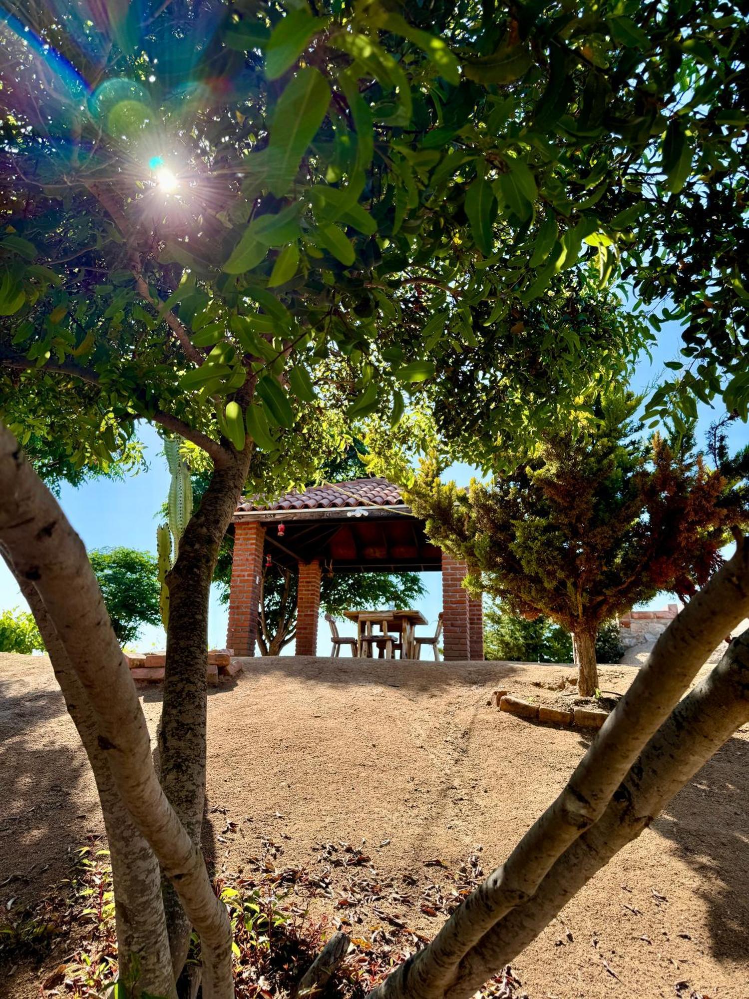 Cabanas Colibri Valle de Guadalupe Exterior photo